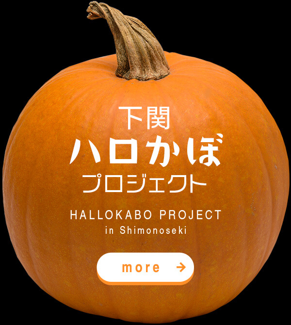 HALLOKABO PROJECT