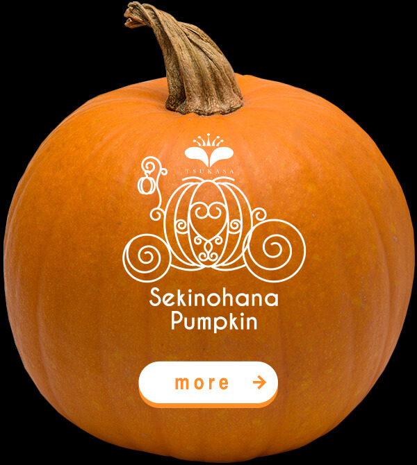 SEKINOHANA PUMPKIN